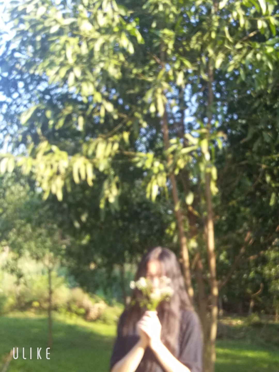Đinh Thị Mã Lệ