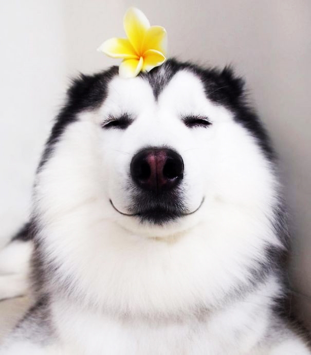 Nhạc Thiên Huyễn