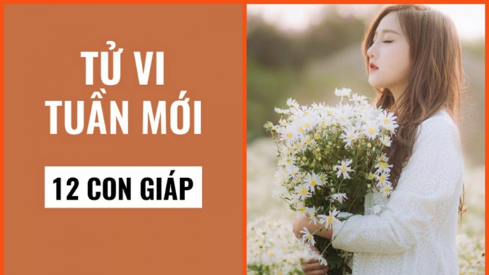 Tử vi tuần mới 12 con giáp (18/5 - 24/5): Tý thăng hạng tài lộc, Ngọ đề phòng vận đen