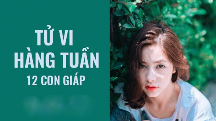 Tử vi tuần mới 12 con giáp từ ngày 25/5 đến 31/5/2020: Dần có thêm thu nhập, Tỵ nên bớt tự kiêu