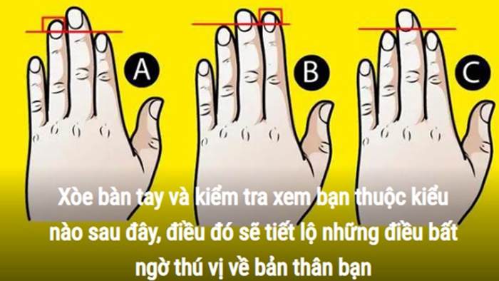 Trắc nghiệm: Xòe bàn tay trái ra xem bạn thuộc kiểu nào, sẽ có những tiết lộ bất ngờ về bản thân bạn