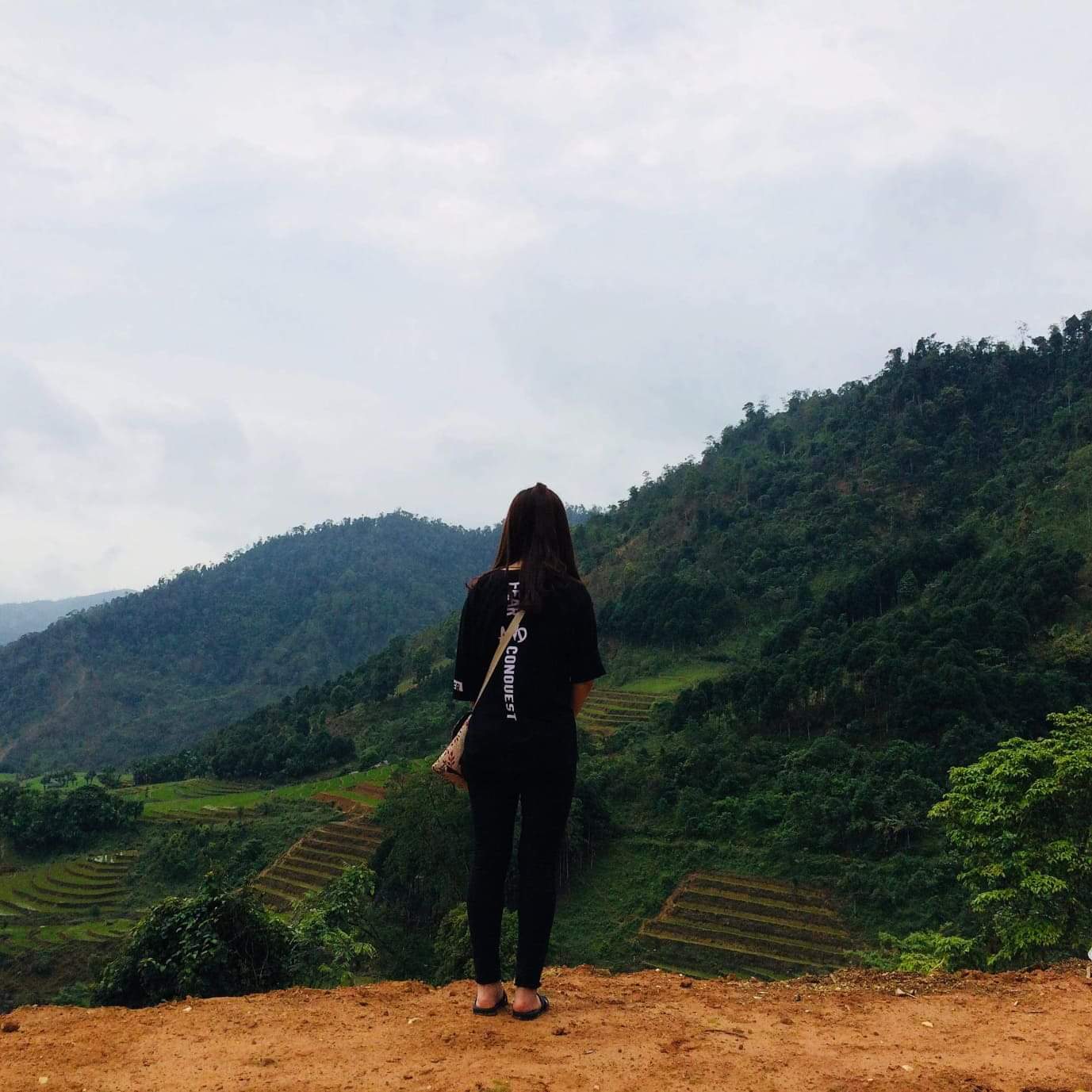 Mộc Mộc