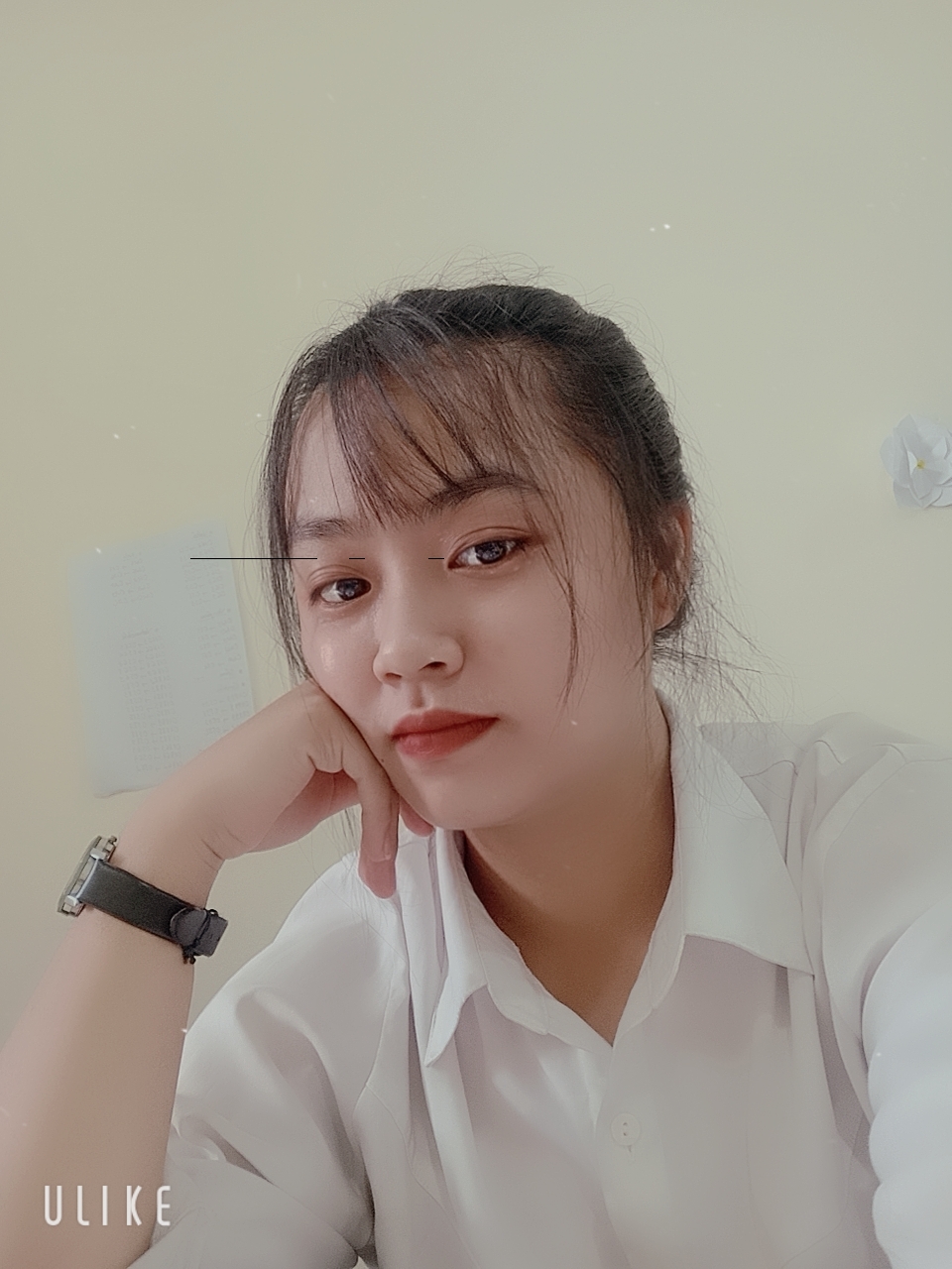 Thảo Mộc