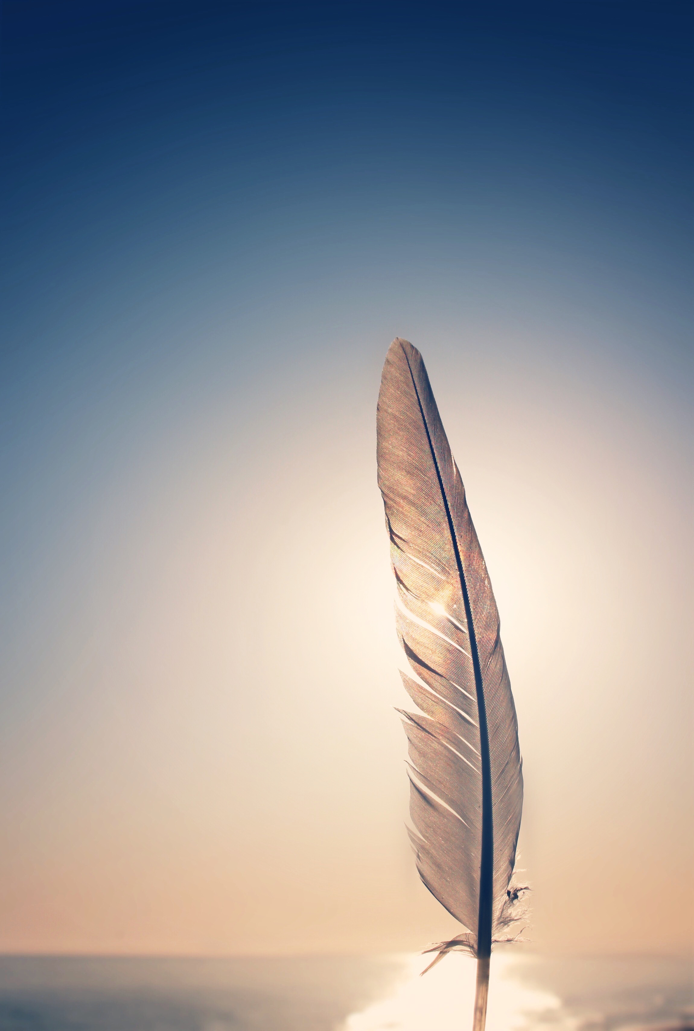 Nguyễn Thị Cẩm Linh