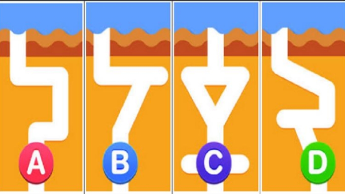 Đoán xem nước chảy xuống ống nào nhanh nhất? Câu trả lời sẽ tiết lộ bạn là thiên tài trong lĩnh vực nào