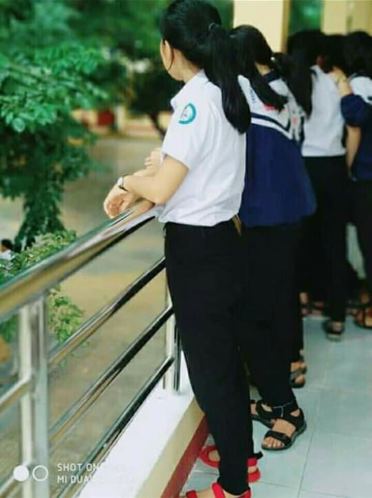 Trần Thị Thu Hiền 