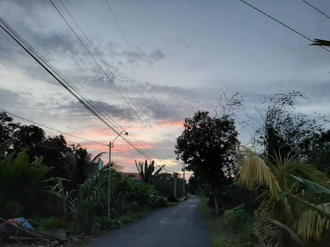 thi nguyễn