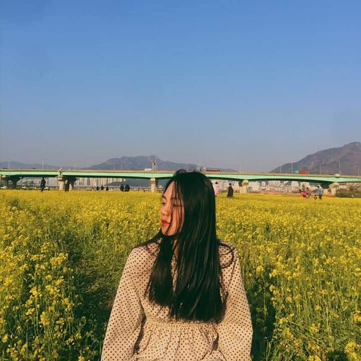 NGUYỄN TRẦN PHƯƠNG THẢO