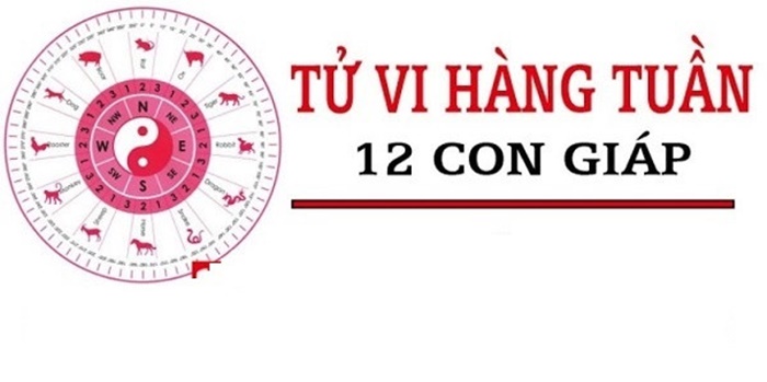 Tử vi tuần mới 18/1 - 24/1: Tuổi Ngọ phần thưởng xứng đáng, tuổi Mùi khả năng phát tài