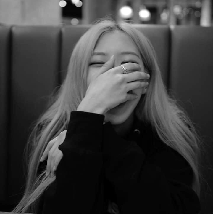 Rosé 