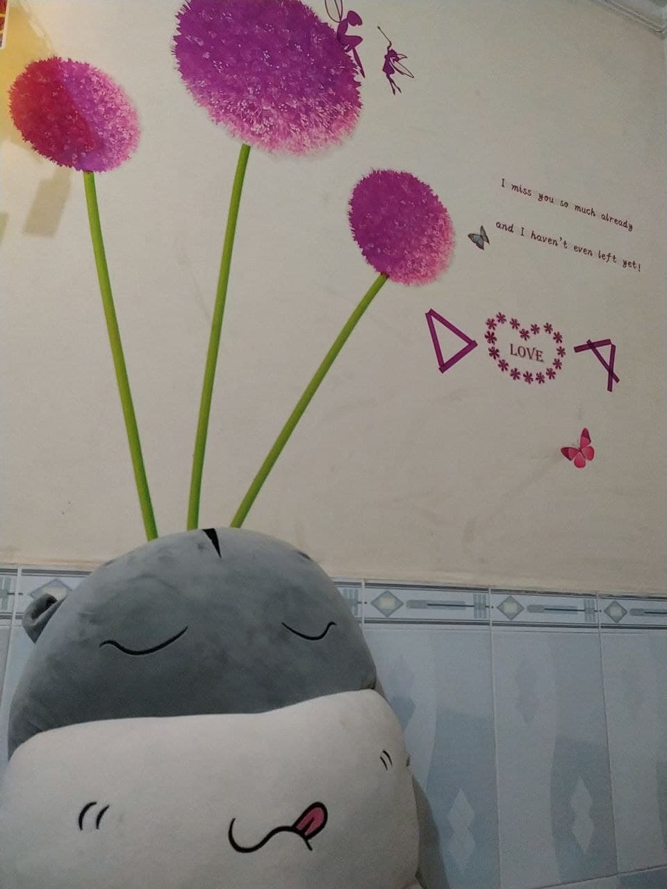 Meo