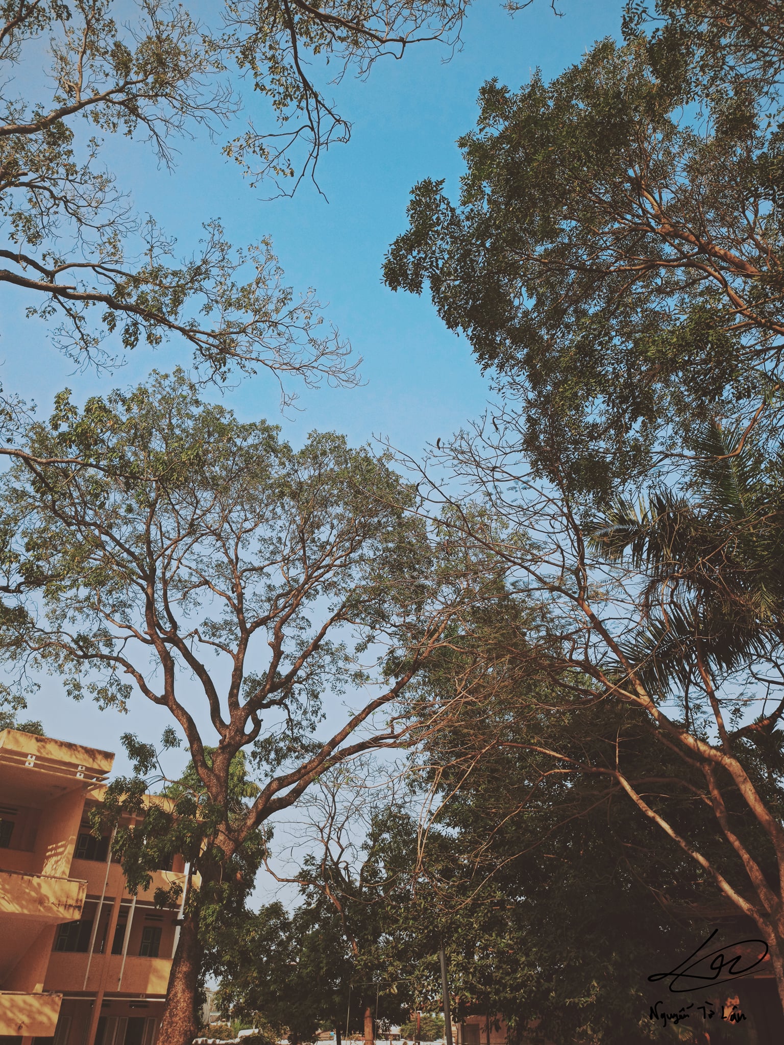 Hương 