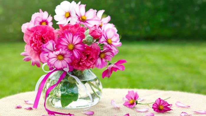 Tử vi tuần mới 7/6 - 13/6 của 12 cung hoàng đạo: Thiên Bình đừng nên vội vã, Sư Tử khá ổn định