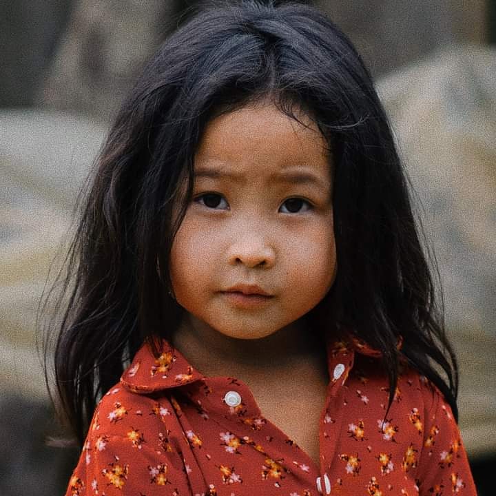 Hến