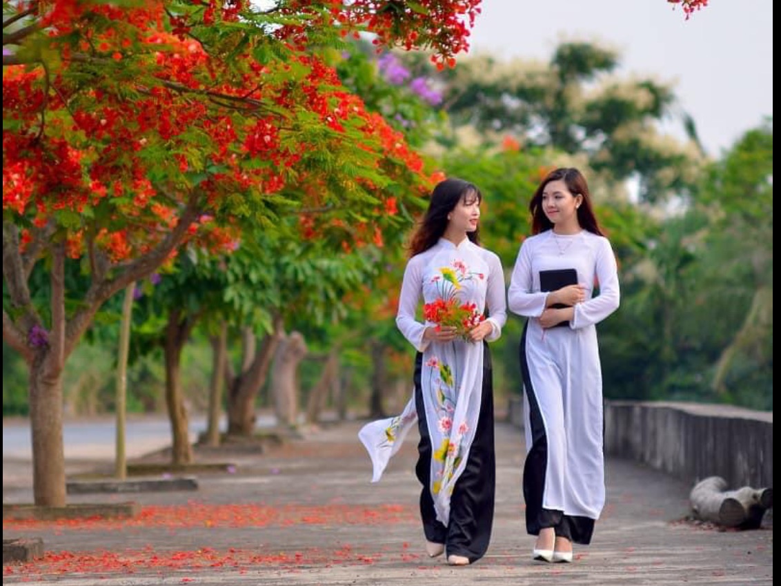 Tú Anh, Phương Anh