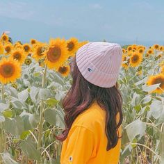 Hạ Thương