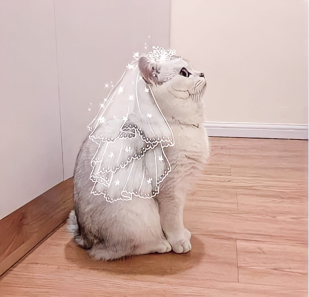 Cô gái nhỏ