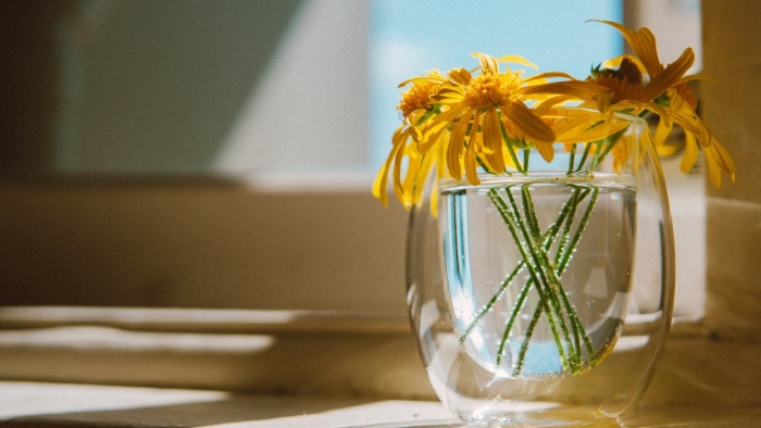 Dự báo cuộc sống của 12 cung Hoàng đạo trong tuần mới 11/10 - 17/10: Kim Ngưu nảy ra nhiều sáng kiến, Xử Nữ trở nên ấm áp và cởi mở