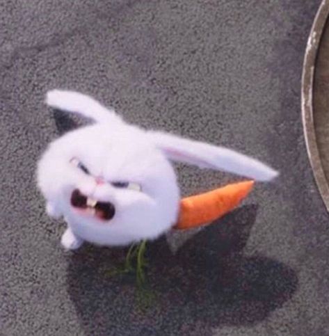 dorissu