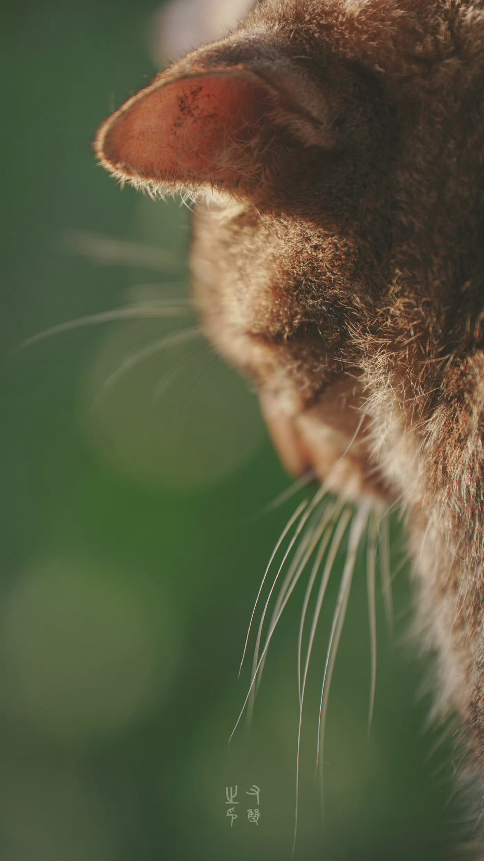 Nguyễn Thanh Nhàn