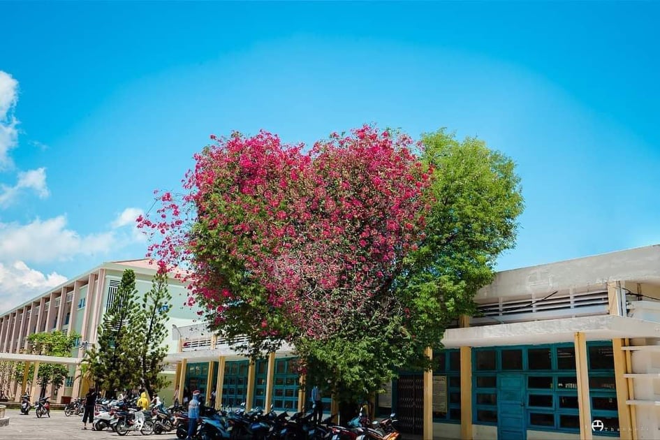 NHÃ PHƯƠNG
