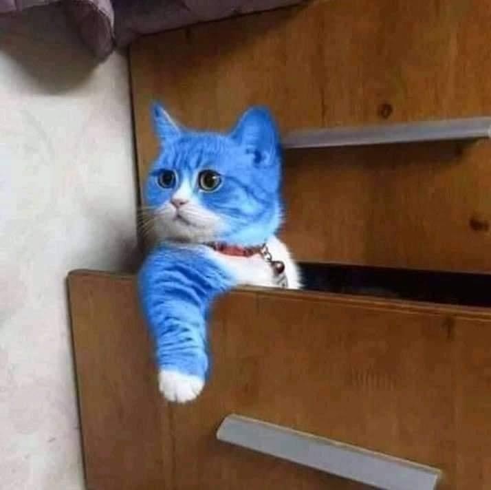 Nghiệp Chướng Quỷ Thần