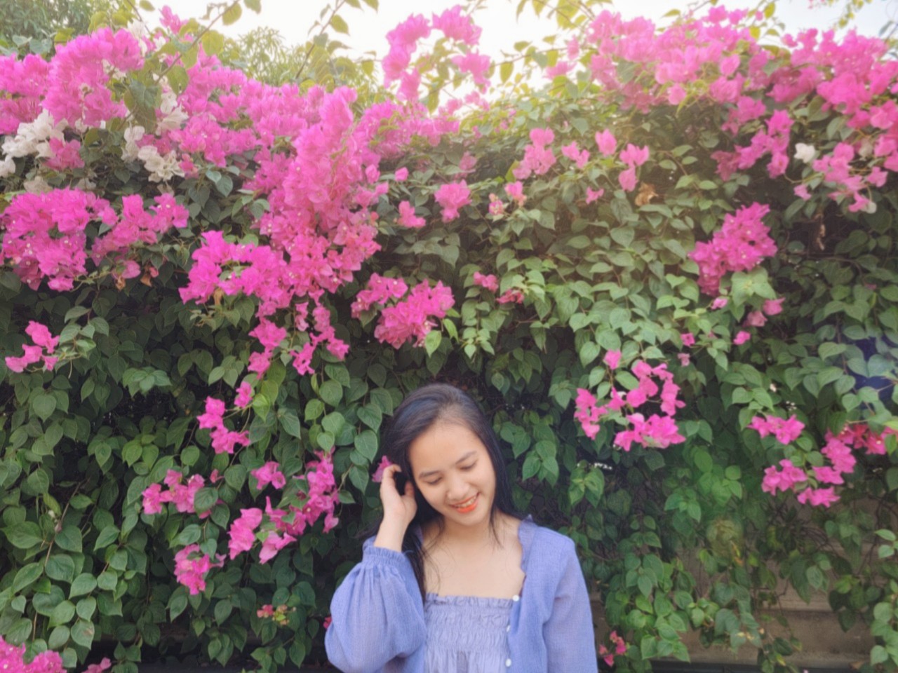 MLINH