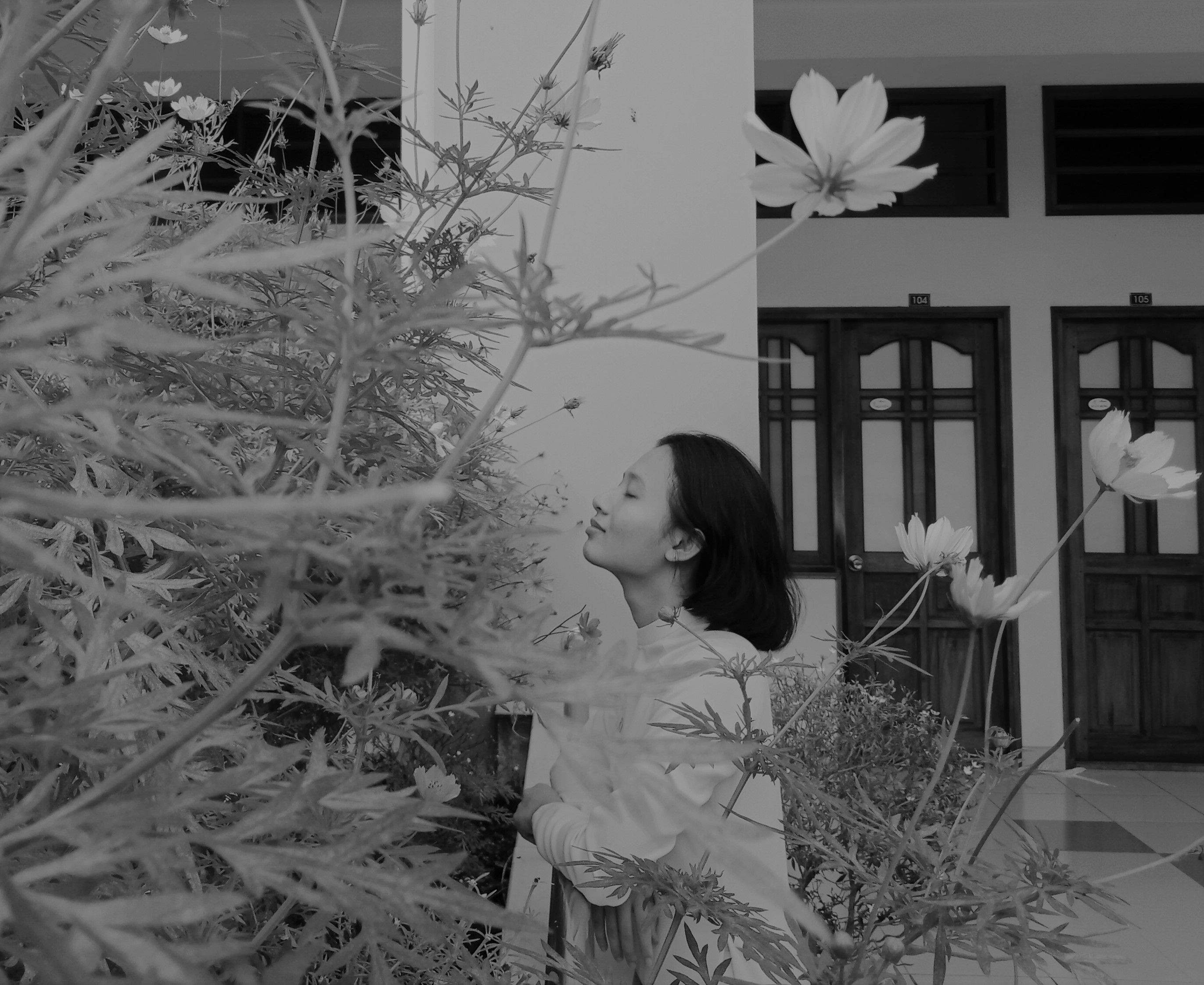 Quỳnh Lam