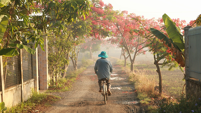 Thằng Nghiện và Con Câm (Phần 2/2)