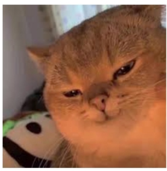 Nắng