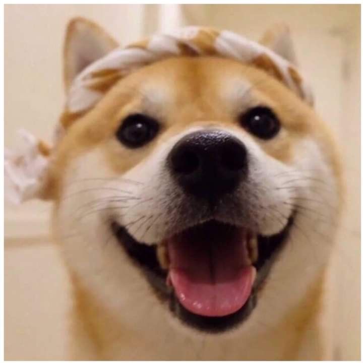 Mít ướt