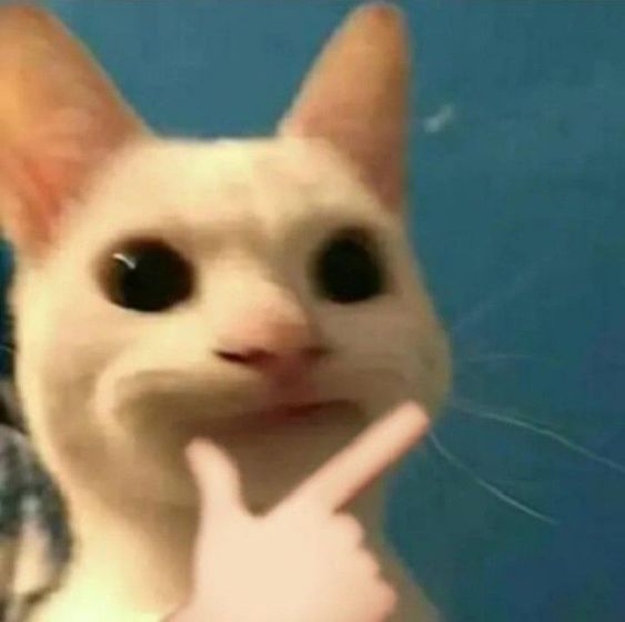 Jii