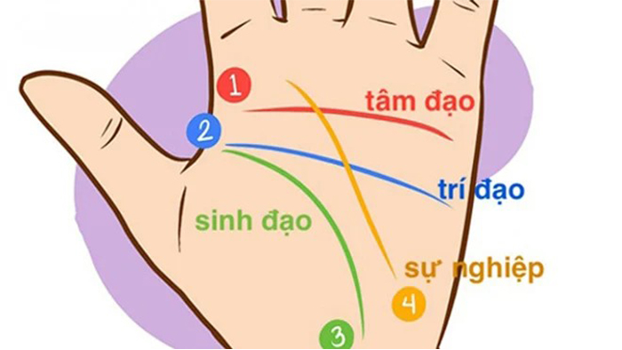 3 đường chỉ tay cực phẩm tượng trưng cho Phúc - Lộc - Thọ, ai có đều tài ba, may mắn hơn người người  