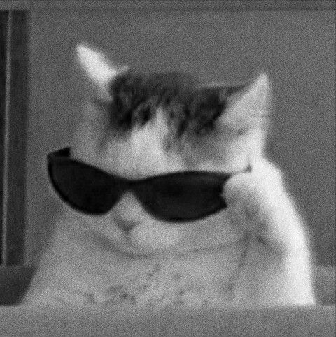 Kim Cúc 