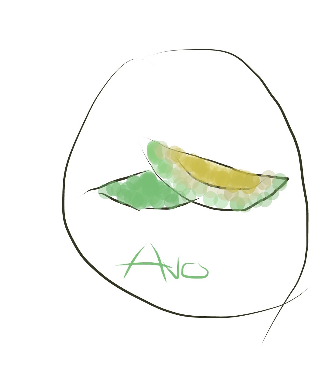 Quả Bơ Bé