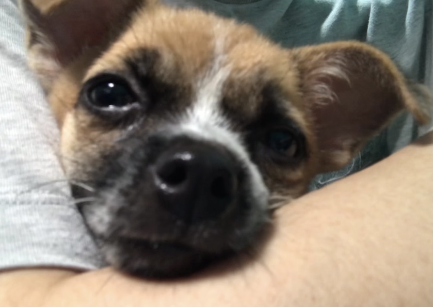 Cao Thị Phương Thảo