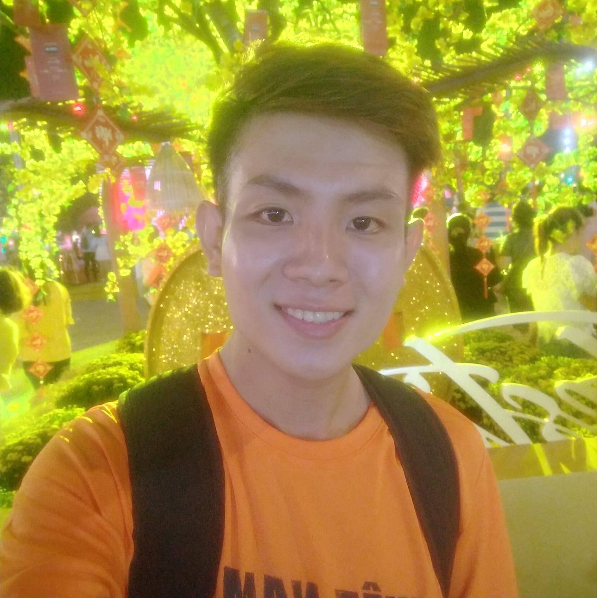 Ngô Đồng