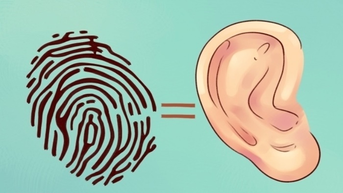 ﻿Sự thật thú vị về đôi tai hầu hết mọi người không biết