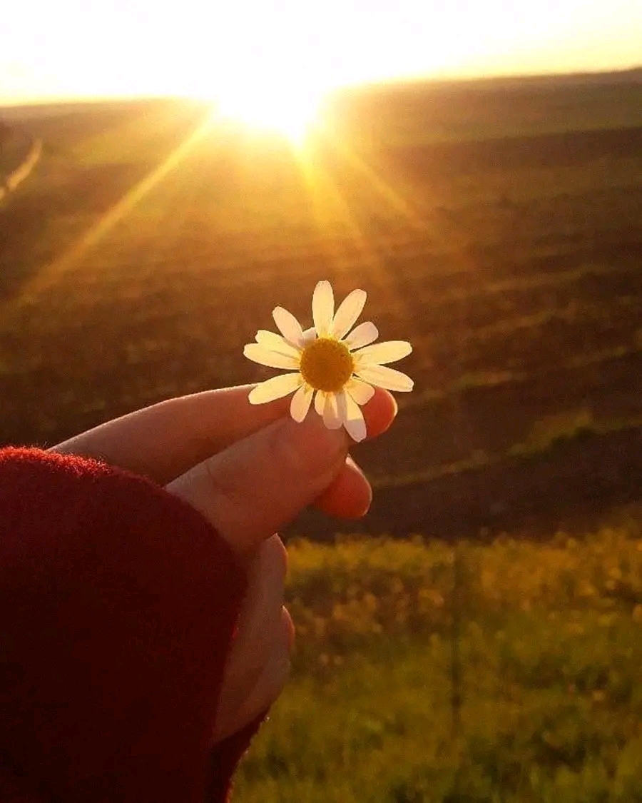 Nguyệt Anh