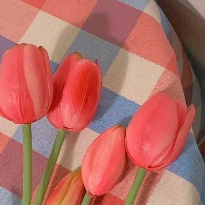 Nguyễn Thị Phương Anh