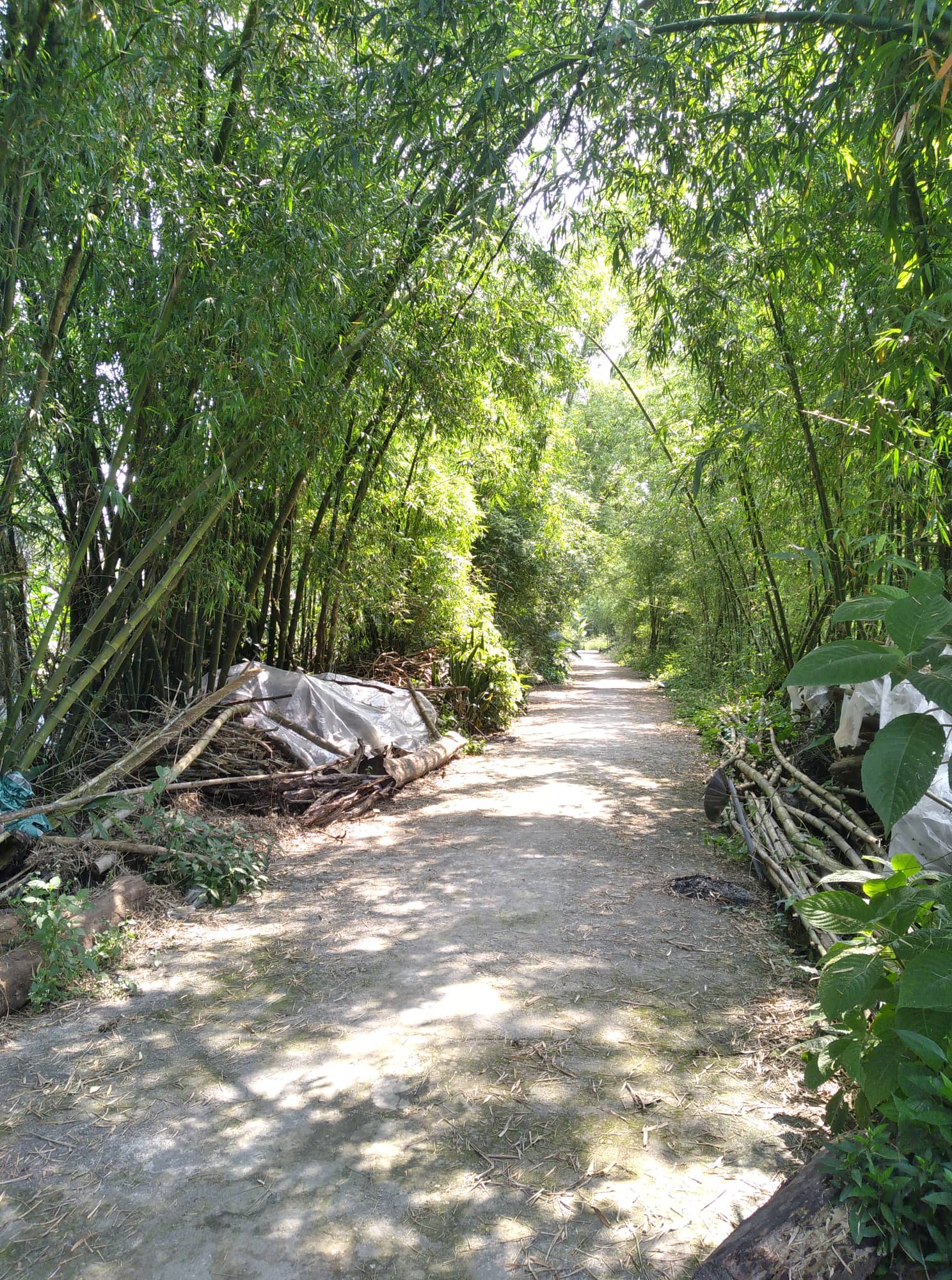 Vĩnh An