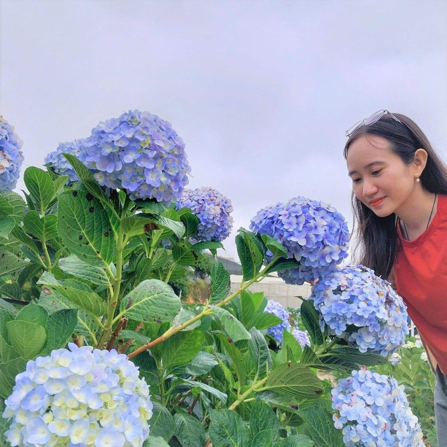Bạn Cá Nhỏ