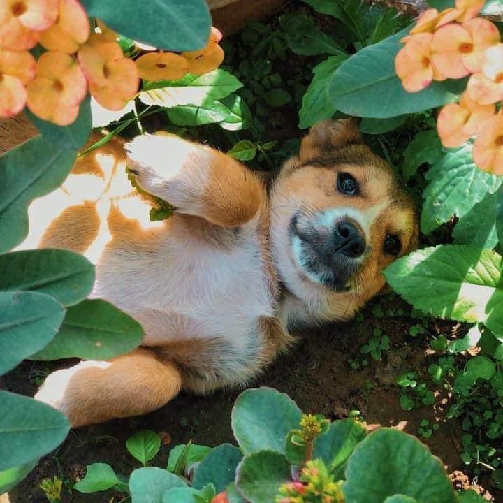 Thương cậu đến đau lòng