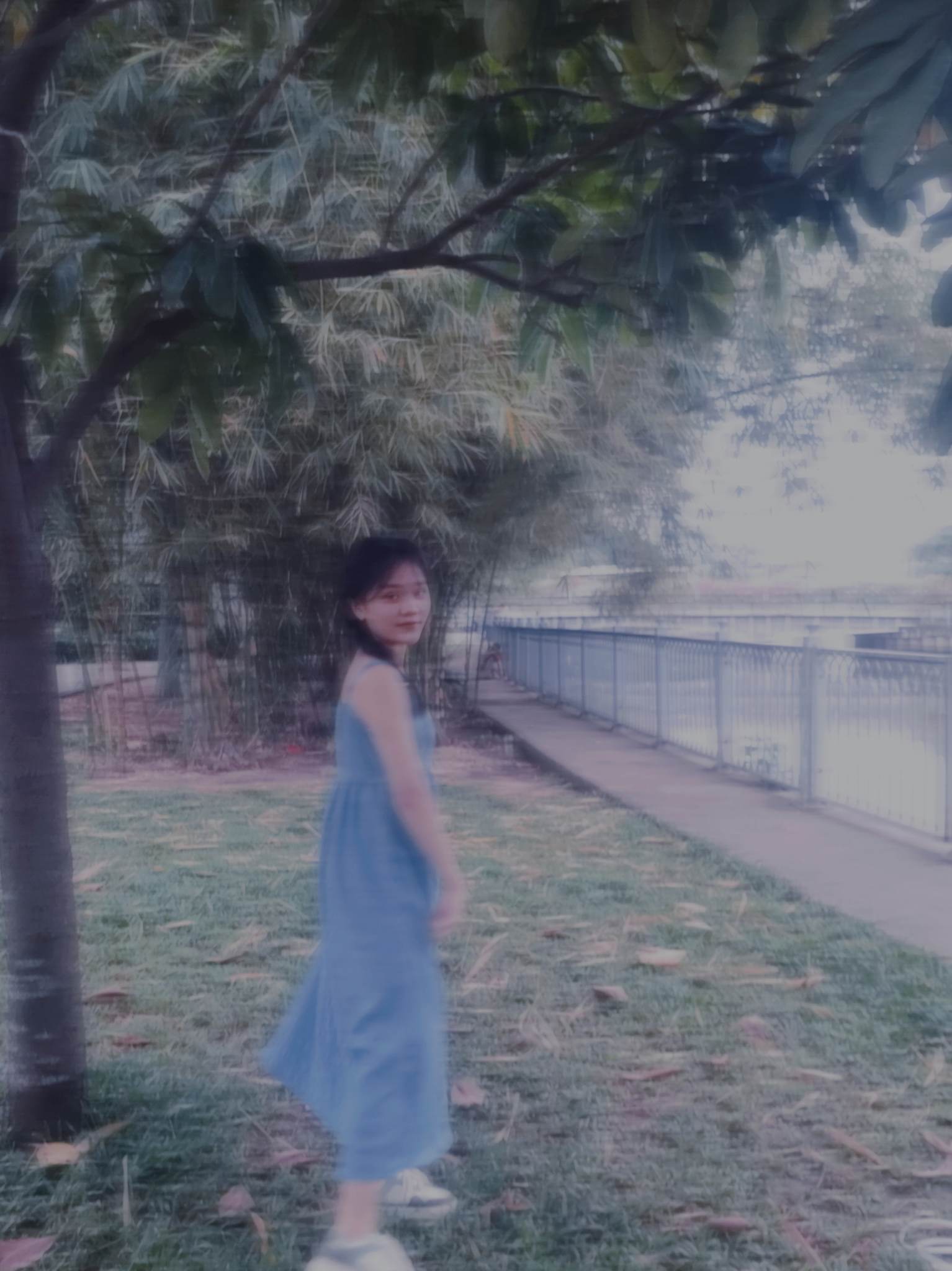Hạ Dương