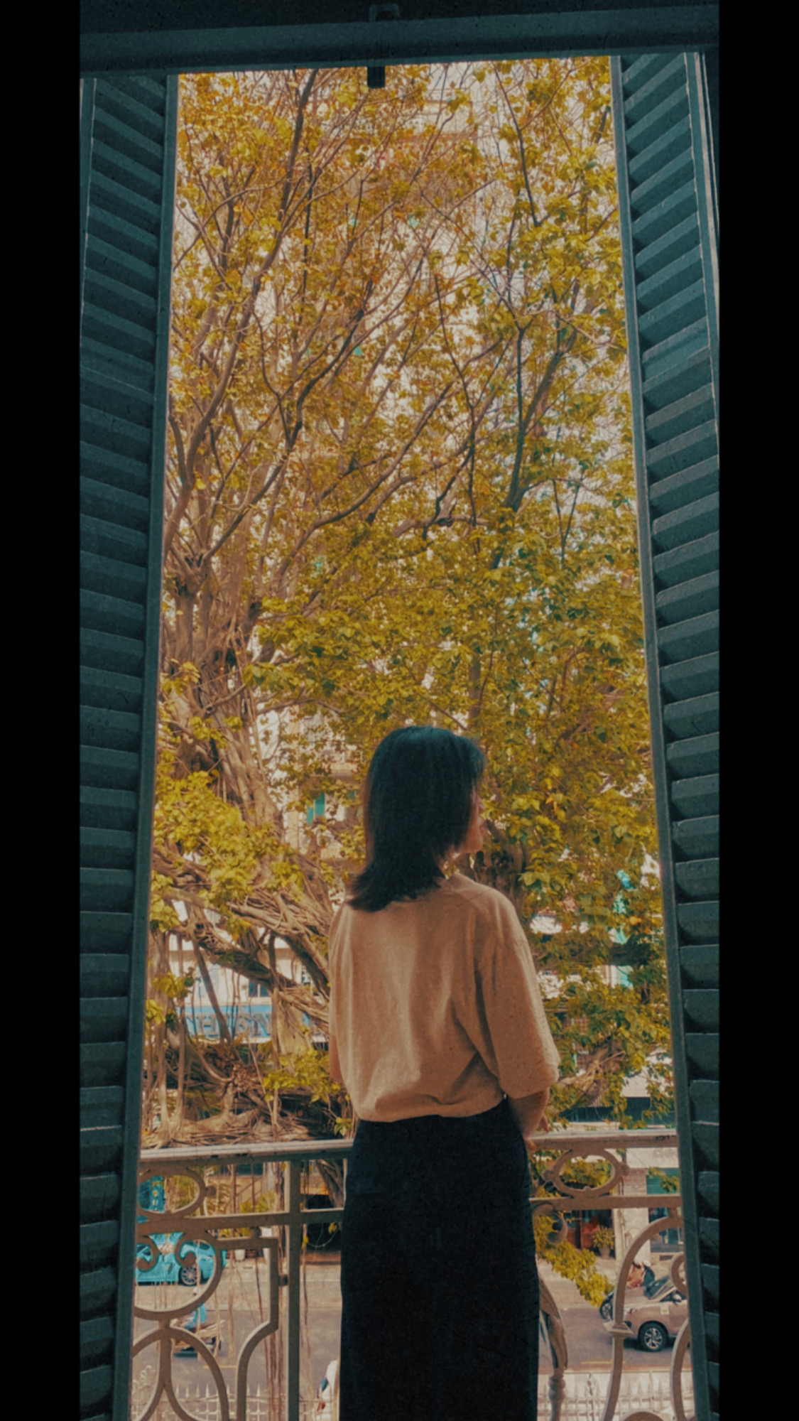 Tuyet Ngan