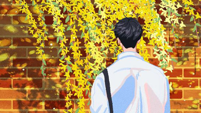 Như chưa từng đợi