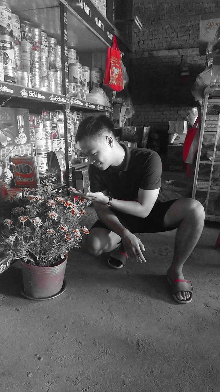 Phát