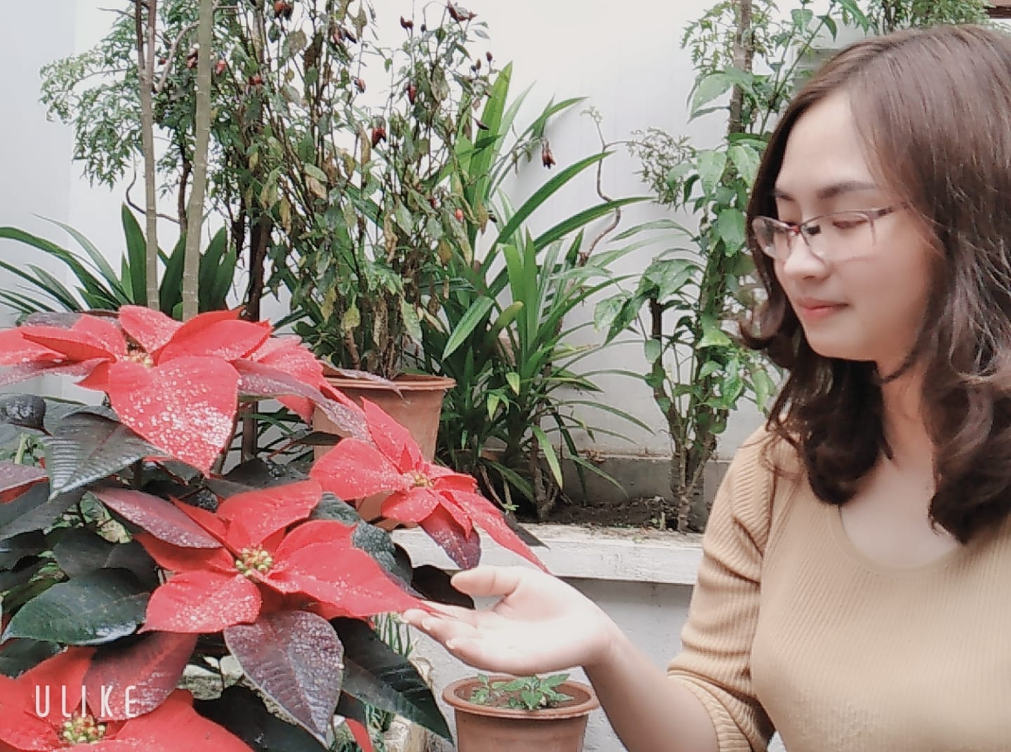 Nguyễn Hạnh