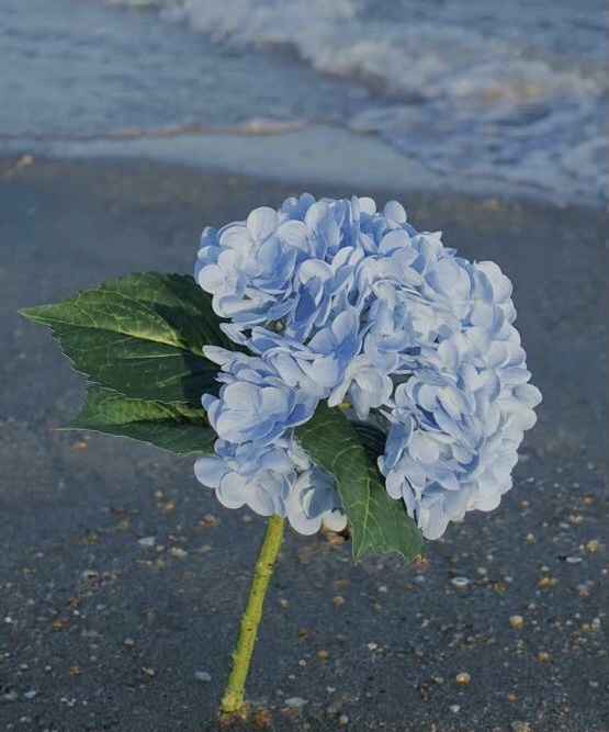 Võ Thị Thuỷ Tiên