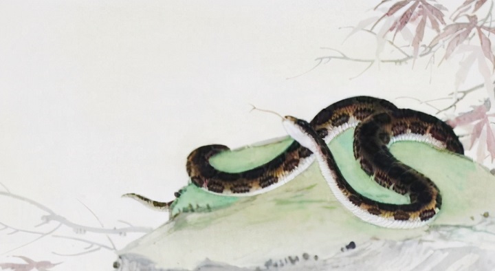 Đón xem chi tiết tài lộc tuổi Tị theo 12 tháng sinh âm lịch